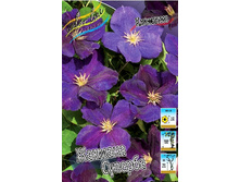 136,6���. �������� ������� �������(�������� ���� �� 2 ��., ����������� ����� 1��.).jpg