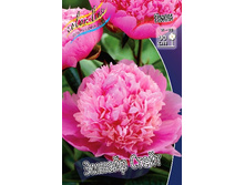 172,1���. ���� ������ �����(�������� ���� �� 1 ��., ����������� ����� 1��.).jpg