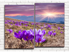 ������� ����� 2-1.jpg