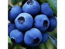 164���. �������� �������.jpg