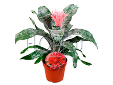 ����� ������� 15�60. 598,35 ���.jpg