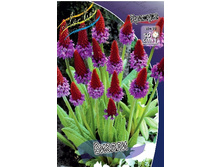 73,4���. ������� ������(�������� ���� �� 2 ��., ����������� ����� 1��.).jpg