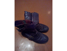 �����. ���� ����������� (���������). 29 �.