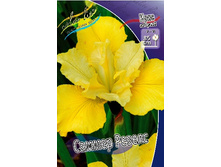 82,9���. ���� ��������� ������ ������(�������� ���� �� 2 ��., ����������� ����� 1��.).jpg