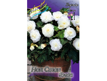 54,77���. ������� ��� ���� �����(�������� ���� �� 3 ��., ����������� ����� 1��.).jpg