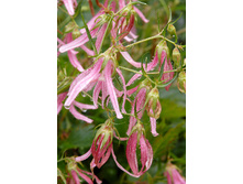 149,25���. ����������� ���� �������(�������� ���� �� 2 ��., ����������� ����� 1��.).jpg