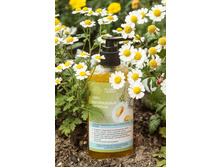 ����������� ������� "�������", 292