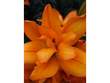 45,02���. ����� ���� ����(��� 5 ��. ���������� �� 2��.).jpg