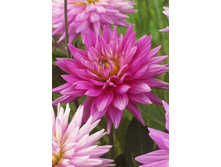 88,7���. �������� ����� ���� ������(�������� ���� �� 1 ��., ����������� ����� 1��.).jpg