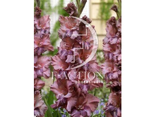 9,11���. ��������� ������(���������� ������ ������ ���������� �� 8 ��.)���17.jpg