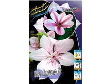 124,3���. �������� �� ����� ������(�������� ���� �� 2 ��., ����������� ����� 1��.).jpg