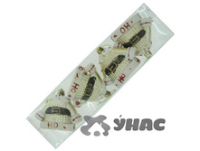 ��� �195 4�� 7�� (�����) ���� (120) ��� 00091063 86,9���.jpg