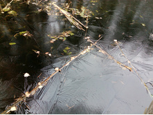 IMG 20161029 082540.jpg