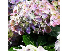 207���. ��������� �������������� �������.jpg