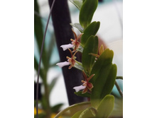 DSCF8160.JPG