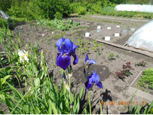 DSCN2111.JPG