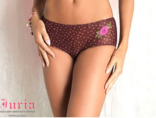 ���� - 311 ���