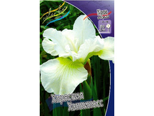 54,45���. ���� ��������� �������� ���������(�������� ���� �� 2 ��., ����������� ����� 1��.).jpg