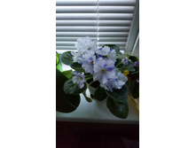 20160706 052323.jpg