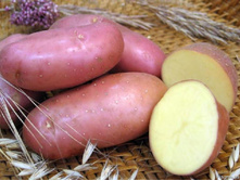 ��� ������� (�����) 59���. �� 1��.jpeg