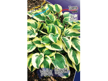 59,2���. ����� ���� ����(�������� ���� �� 2 ��., ����������� ����� 1��.).jpg