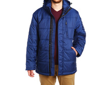 14201 Matisse blue.jpg