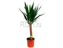 ���� 1���. 14�80. 484,25 ���.jpg