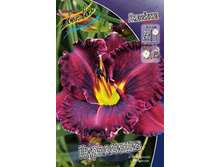 180���. �������� ����������(�������� ���� �� 1 ��., ����������� ����� 1��.).jpg