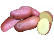 ������ (1-� �����������) 25���. �� 1��.jpg