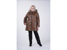 ������ ��������.JPG