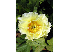 835,5���. ���� ������ ����� (���)(�������� ���� �� 1 ��., ����������� ����� 1��.)���17.jpg