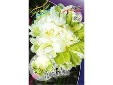 2462,5���. ���� ���� ����(�������� ���� �� 1 ��., ����������� ����� 1��.).jpg