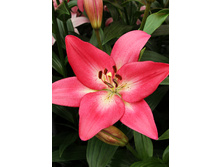 19,74���. ����� ��������(��� 7 ��. ���������� �� 2��.).jpg