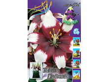 29,84���. ����� ����� ������(��� 5 ��. ���������� �� 2��.).jpg