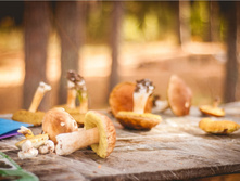 57f68290c7da6 dsc4398.jpg