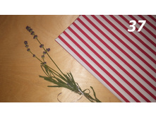 37 ����-������� �������.jpg