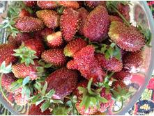 ��������� �������