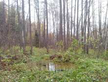 IMG 20161016 113302.jpg