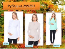 299257 �������