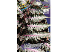 128,7���. ���������� ����������(�������� ���� �� 2 ��., ����������� ����� 1��.).jpg