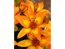 23,92���. ����� ����� ����(��� 5 ��. ���������� �� 2��.).jpg