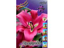 37,44���. ����� ��������(��� 5 ��. ���������� �� 2��.).jpg