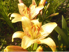 DSCN1520.JPG