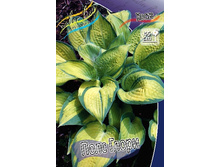 86,05���. ����� ���� �����(�������� ���� �� 2 ��., ����������� ����� 1��.).jpg