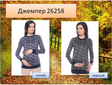 26258 ������� 2