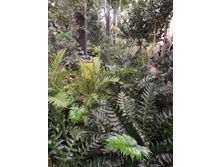 DSCF8084.JPG