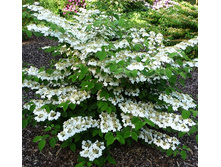 148���. ������ ���������� ������.jpg