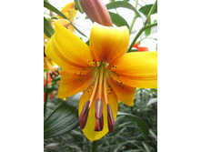 39,96���. ����� ����� ����(��� 5 ��. ���������� �� 2��.).jpg