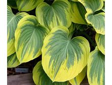 211,6���. ����� ������ ����(�������� ���� �� 1 ��., ����������� ����� 1��.)���16.jpg