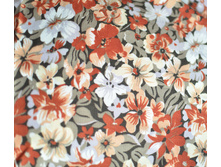 ��������� ���������